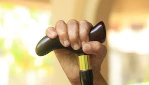 Walking Stick Dealers