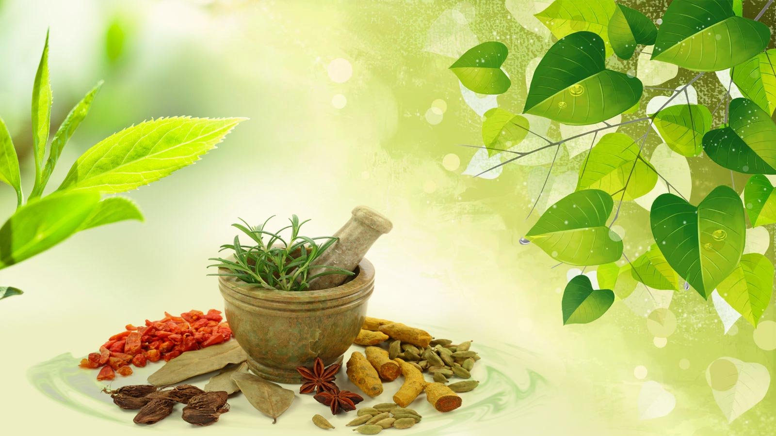 Ayurvedic Doctors 