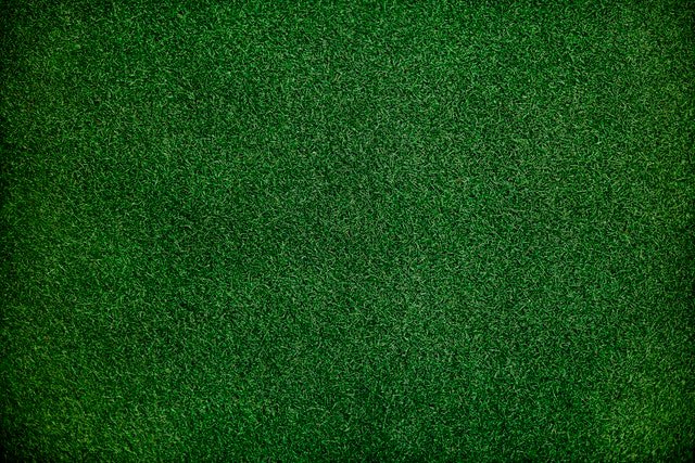 Artificial Grass Dealers
