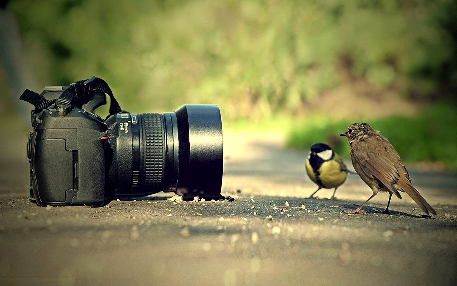 Camera Equipment Dealers